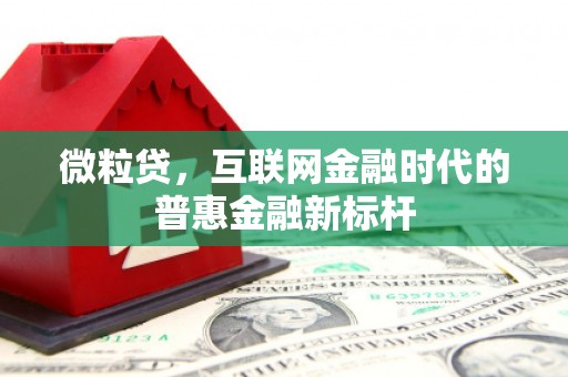 九原微粒贷，互联网金融时代的普惠金融新标杆