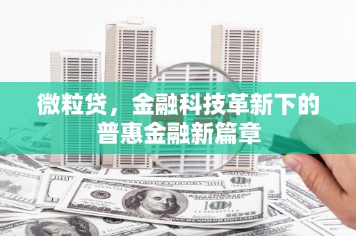 九原微粒贷，金融科技革新下的普惠金融新篇章