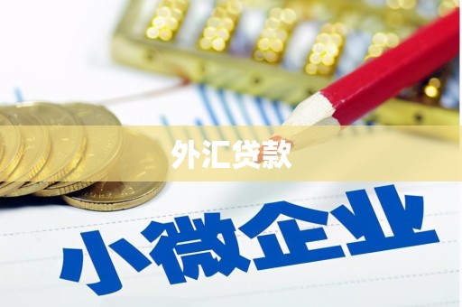 九原外汇贷款