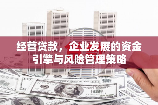 九原经营贷款，企业发展的资金引擎与风险管理策略
