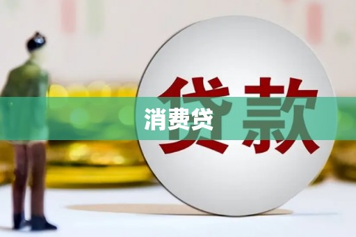 九原消费贷