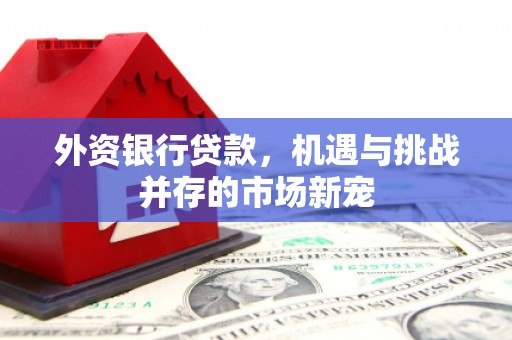 九原外资银行贷款，机遇与挑战并存的市场新宠