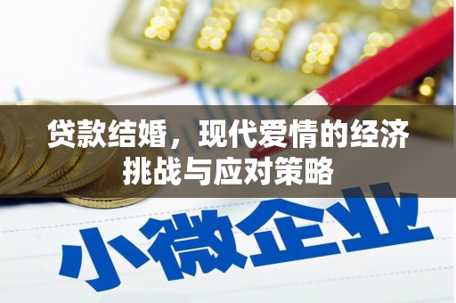 九原贷款结婚，现代爱情的经济挑战与应对策略