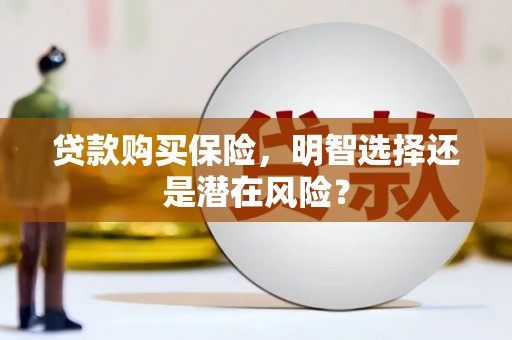 九原贷款购买保险，明智选择还是潜在风险？