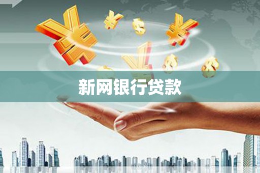 九原新网银行贷款