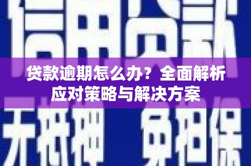 九原贷款逾期怎么办？全面解析应对策略与解决方案
