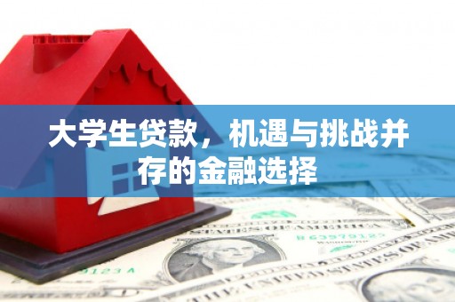 九原大学生贷款，机遇与挑战并存的金融选择