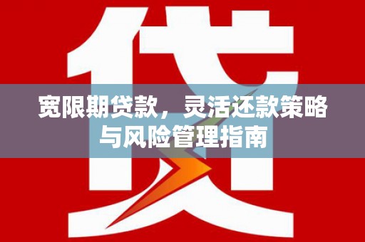 九原宽限期贷款，灵活还款策略与风险管理指南