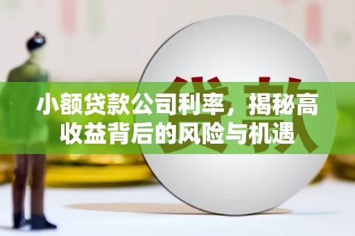 九原小额贷款公司利率，揭秘高收益背后的风险与机遇