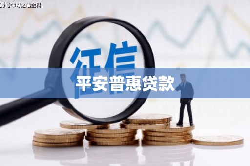 九原平安普惠贷款