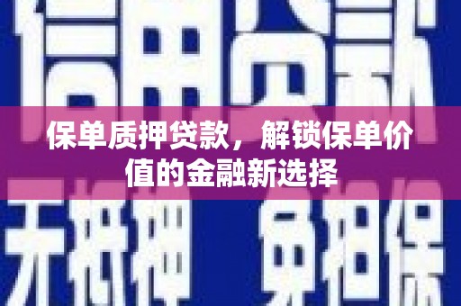 九原保单质押贷款，解锁保单价值的金融新选择