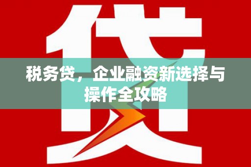 九原税务贷，企业融资新选择与操作全攻略