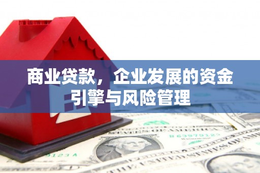 九原商业贷款，企业发展的资金引擎与风险管理