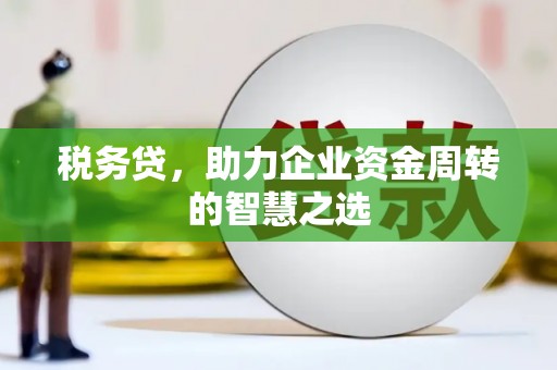 九原税务贷，助力企业资金周转的智慧之选