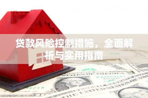 九原贷款风险控制措施，全面解析与实用指南