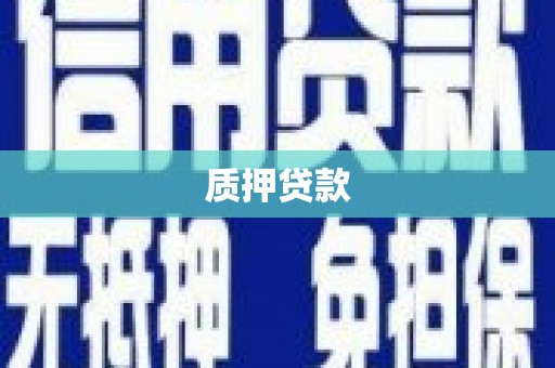 九原质押贷款