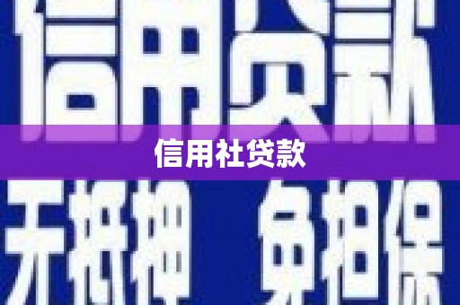 九原信用社贷款