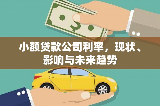 九原小额贷款公司利率，现状、影响与未来趋势