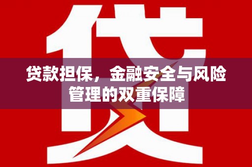九原贷款担保，金融安全与风险管理的双重保障
