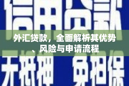九原外汇贷款，全面解析其优势、风险与申请流程