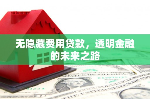 九原无隐藏费用贷款，透明金融的未来之路