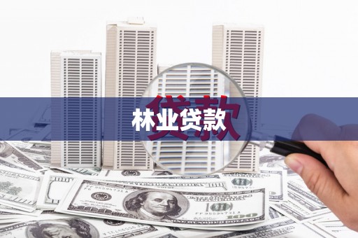 九原林业贷款