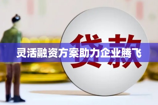 九原灵活融资方案助力企业腾飞