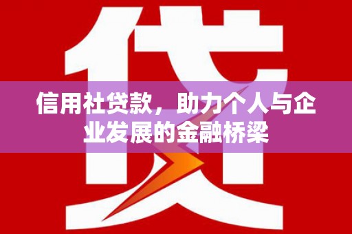 九原信用社贷款，助力个人与企业发展的金融桥梁