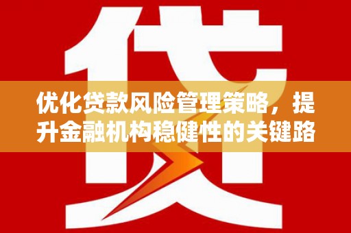 九原优化贷款风险管理策略，提升金融机构稳健性的关键路径