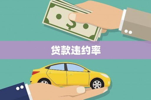 九原贷款违约率