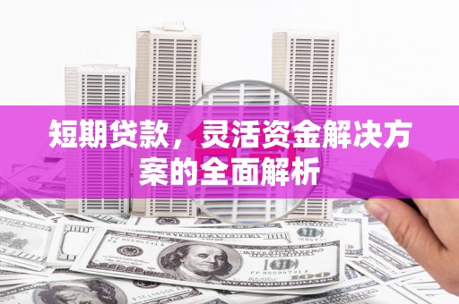 九原短期贷款，灵活资金解决方案的全面解析