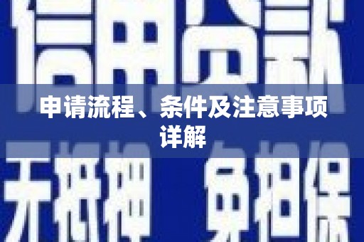 九原申请流程、条件及注意事项详解
