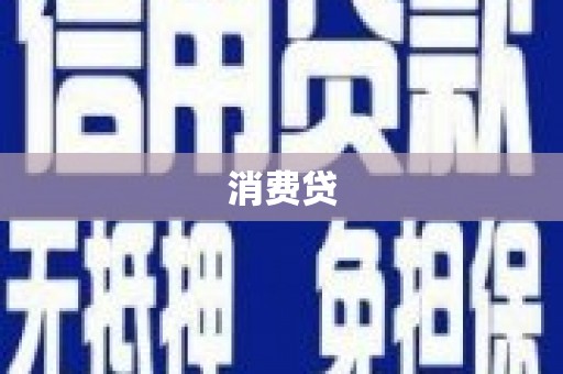 九原消费贷