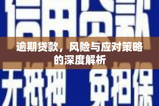 九原逾期贷款，风险与应对策略的深度解析