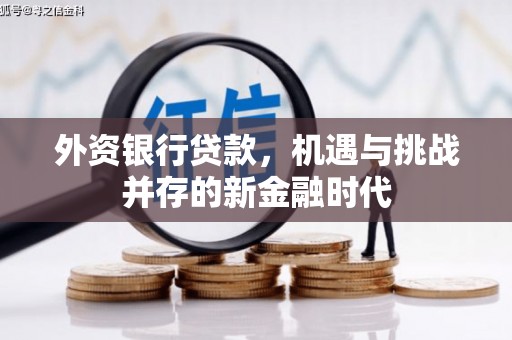 九原外资银行贷款，机遇与挑战并存的新金融时代