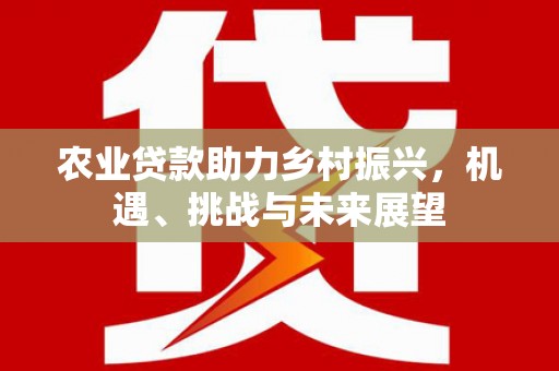九原农业贷款助力乡村振兴，机遇、挑战与未来展望