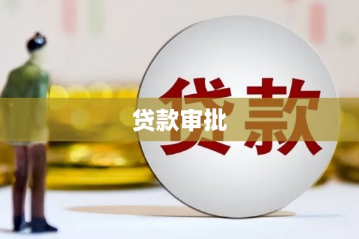 九原贷款审批