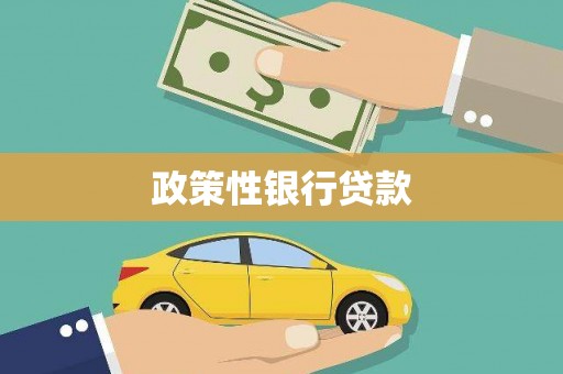 九原政策性银行贷款