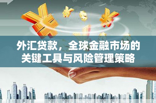 九原外汇贷款，全球金融市场的关键工具与风险管理策略