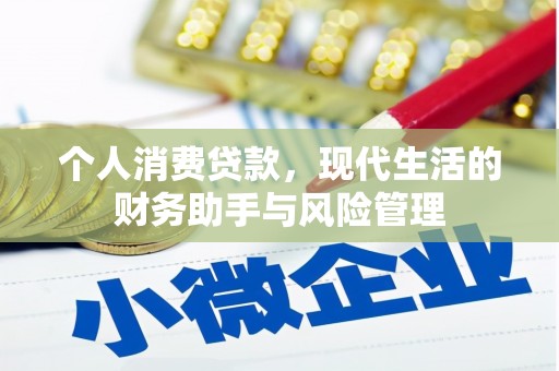九原个人消费贷款，现代生活的财务助手与风险管理