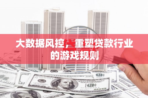 九原大数据风控，重塑贷款行业的游戏规则