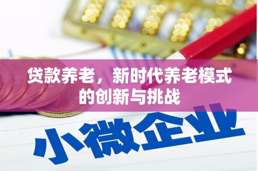 九原贷款养老，新时代养老模式的创新与挑战