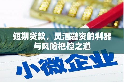 九原短期贷款，灵活融资的利器与风险把控之道