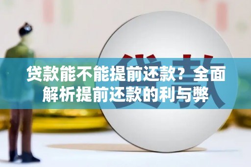 九原贷款能不能提前还款？全面解析提前还款的利与弊