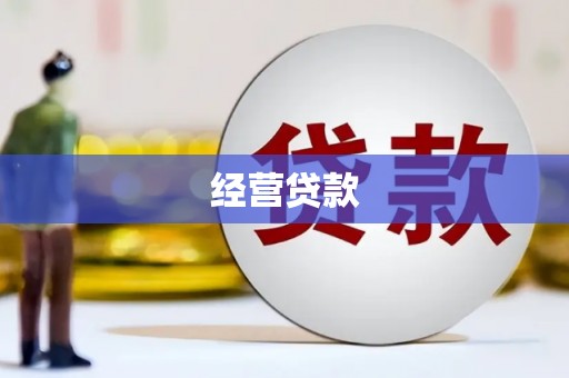 九原经营贷款