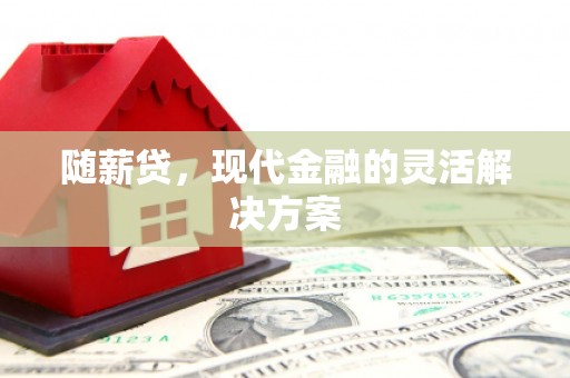九原随薪贷，现代金融的灵活解决方案