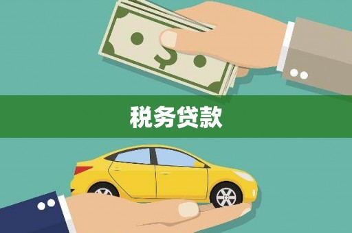 九原税务贷款