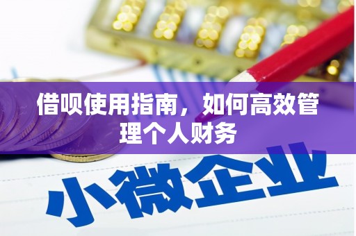 九原借呗使用指南，如何高效管理个人财务