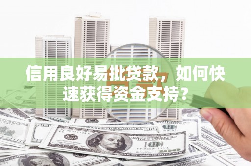 九原信用良好易批贷款，如何快速获得资金支持？
