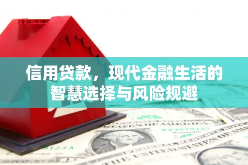 九原信用贷款，现代金融生活的智慧选择与风险规避